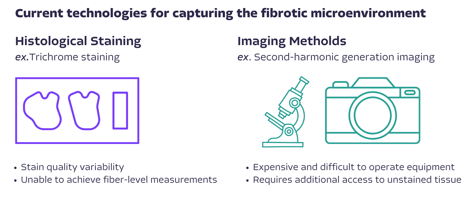 Fibrosis Workbook-1