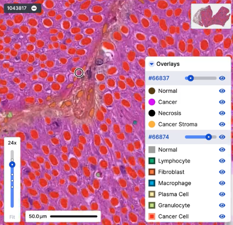 Screenshot 2024-07-09 at 4.14.23 PM