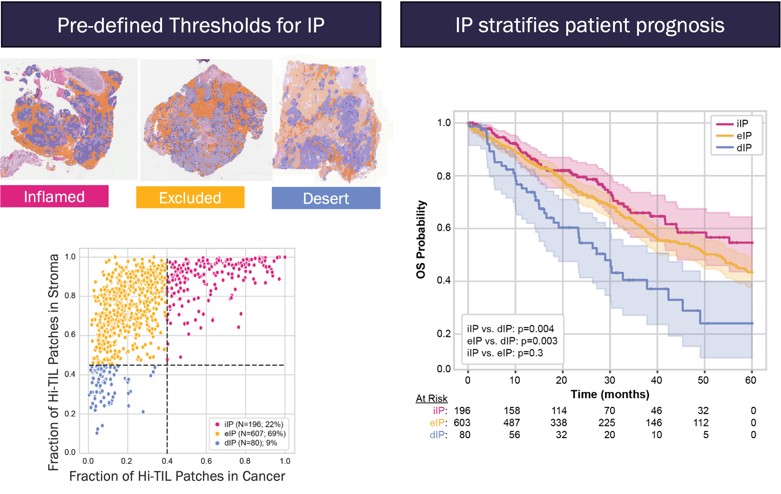 iop-panel2